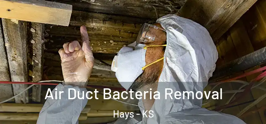  Air Duct Bacteria Removal Hays - KS