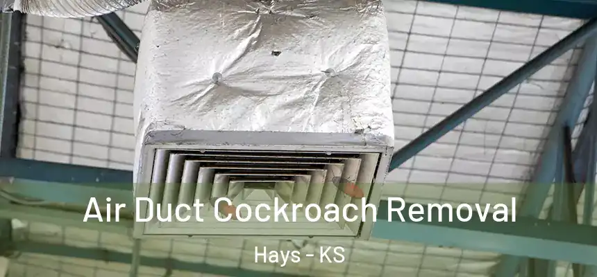 Air Duct Cockroach Removal Hays - KS