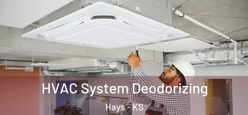 HVAC System Deodorizing Hays - KS