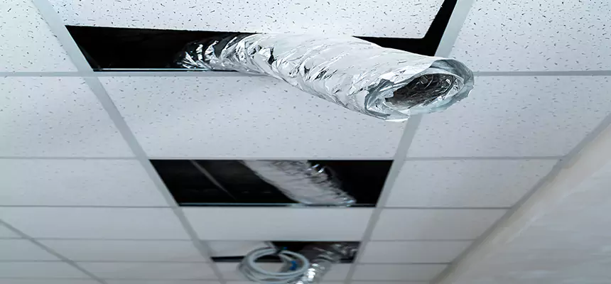 Our Air Duct Pet Hair Removal Services in Hays, KS