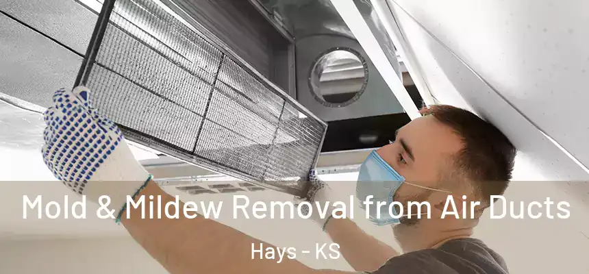 Mold & Mildew Removal from Air Ducts Hays - KS