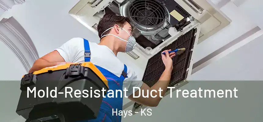 Mold-Resistant Duct Treatment Hays - KS