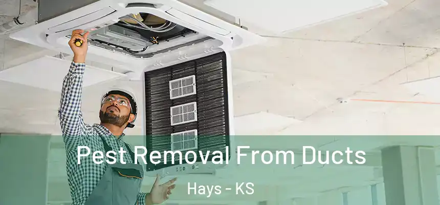 Pest Removal From Ducts Hays - KS