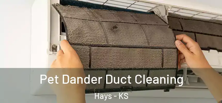 Pet Dander Duct Cleaning Hays - KS