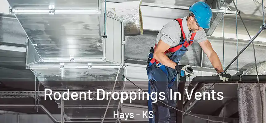Rodent Droppings In Vents Hays - KS