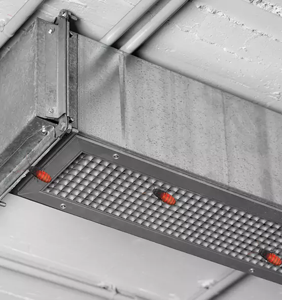 About Air Duct Cockroach Removal in Hays, KS
