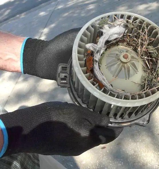 About Air Duct Rat Removal in Hays, KS